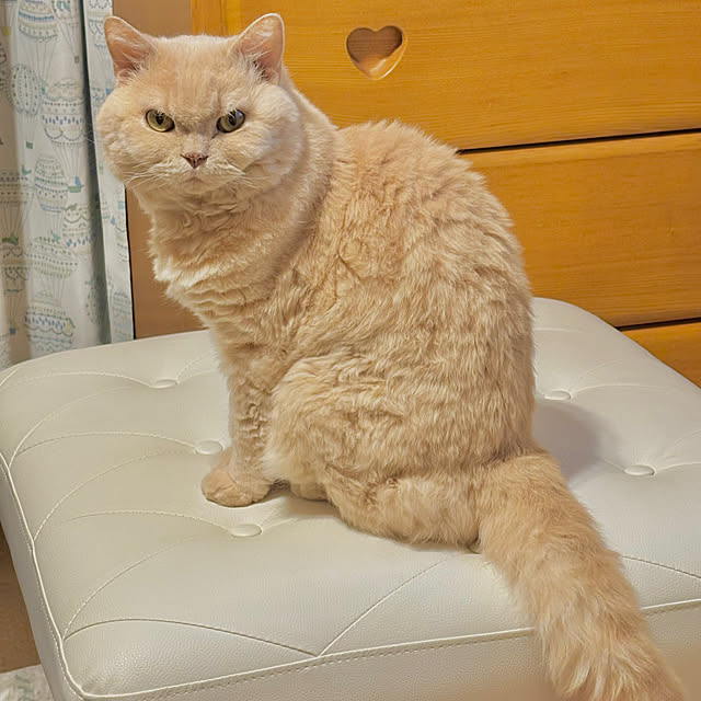 naokoさんの部屋