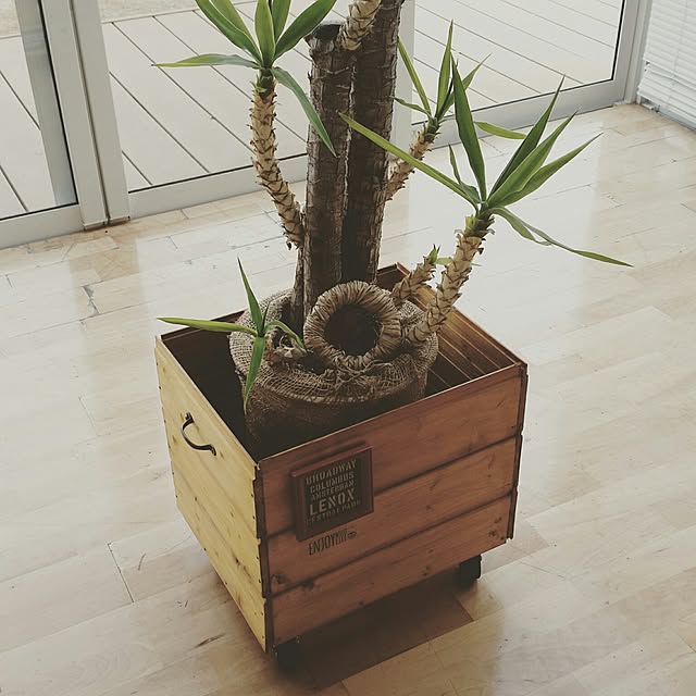 costajiniさんの実例写真