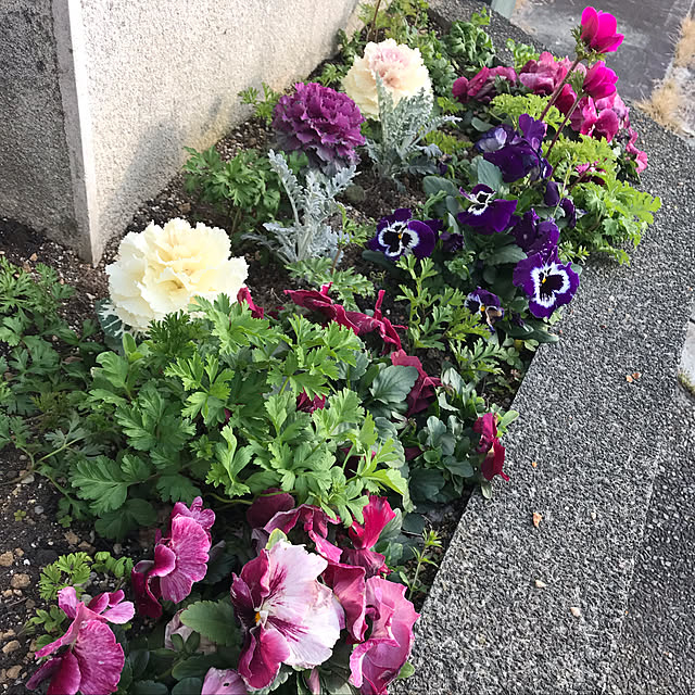 tommysobacさんの実例写真