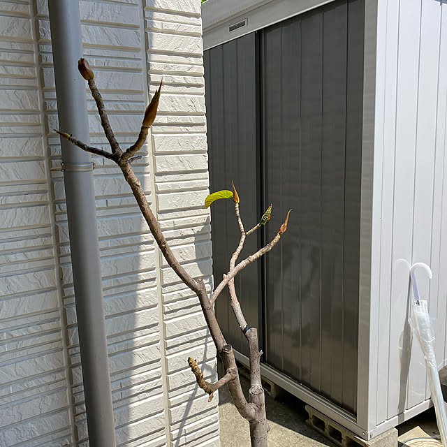 yukoさんの実例写真