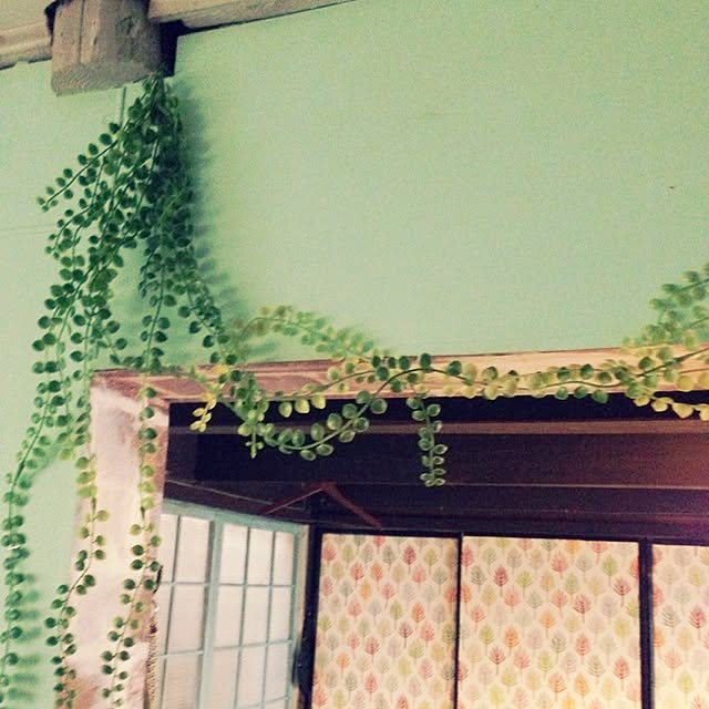 aiさんの実例写真