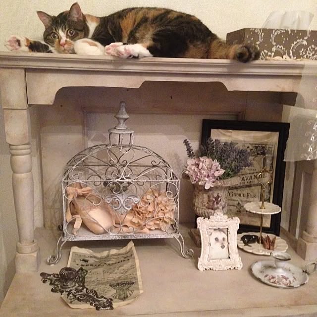 saqura_apartment101さんの実例写真