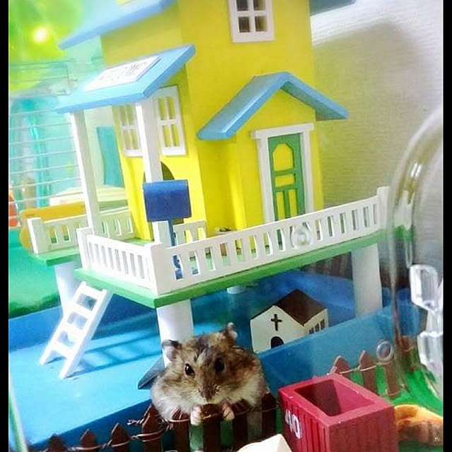 Samさんの実例写真