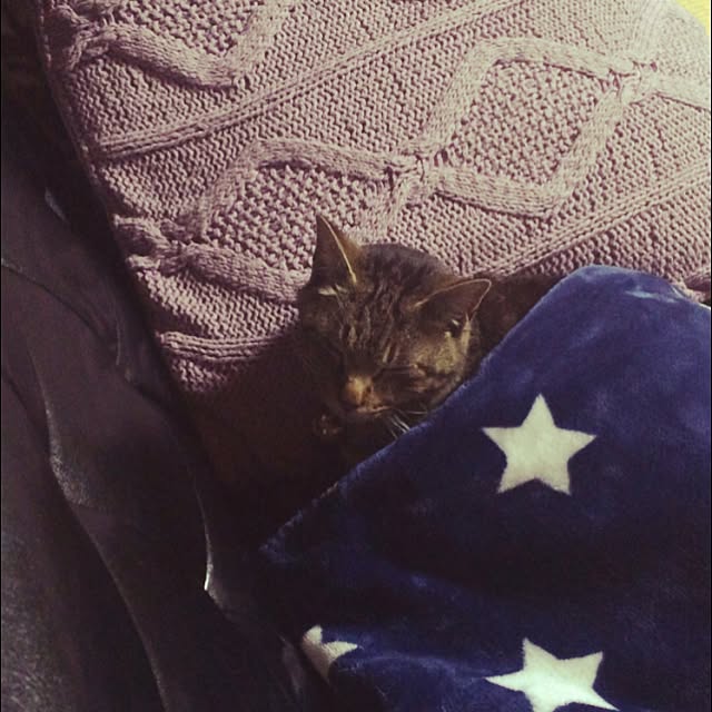mikanさんの実例写真