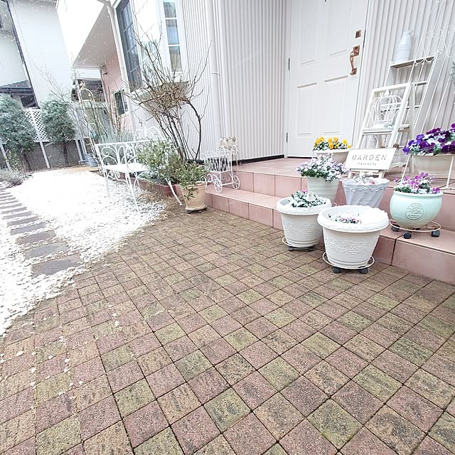 fleur-mamanさんの部屋