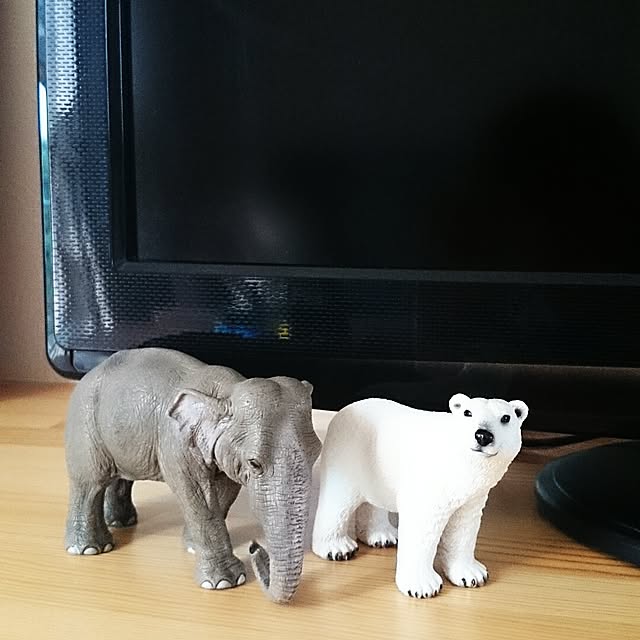 topさんの実例写真