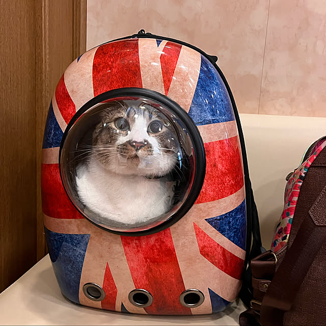 jijiさんの実例写真