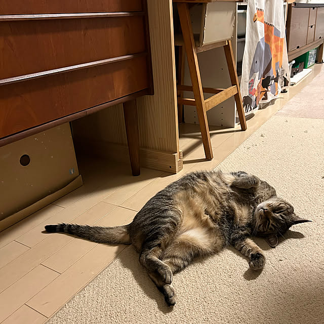 mikomaruさんの実例写真
