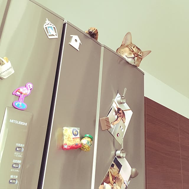 sakineko528さんの実例写真