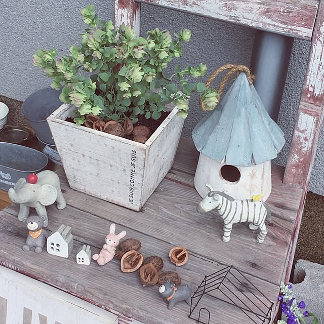 Rjさんの実例写真