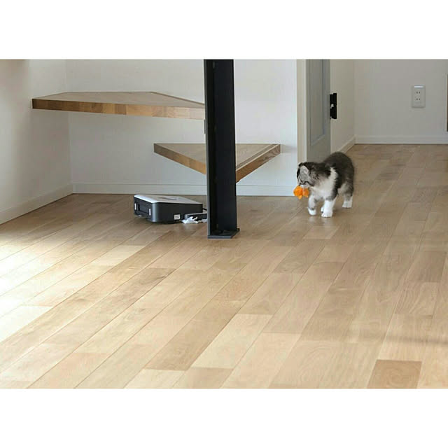 aki8112さんの実例写真