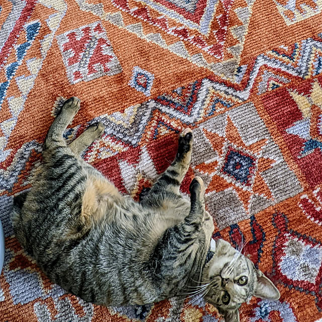 flannel.さんの実例写真