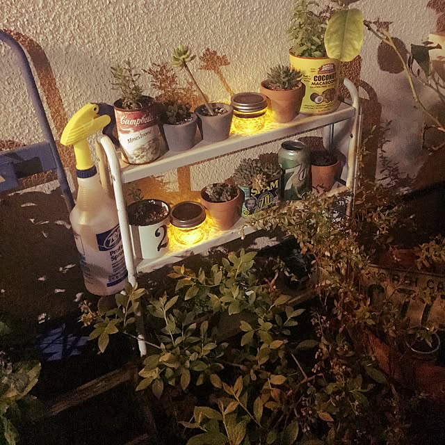 MARIさんの実例写真