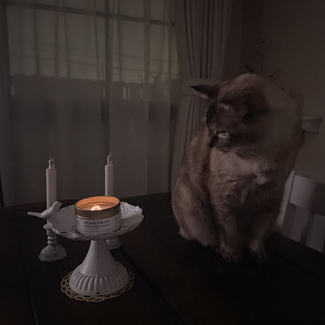 noelさんの部屋