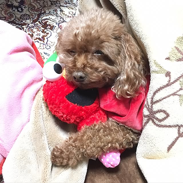Hecacoさんの実例写真