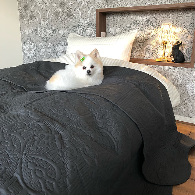 kotarico327さんの実例写真