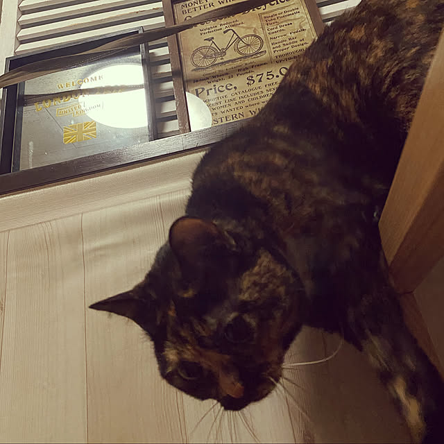 mさんの実例写真