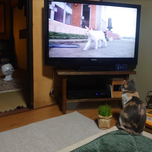 fukuさんの実例写真