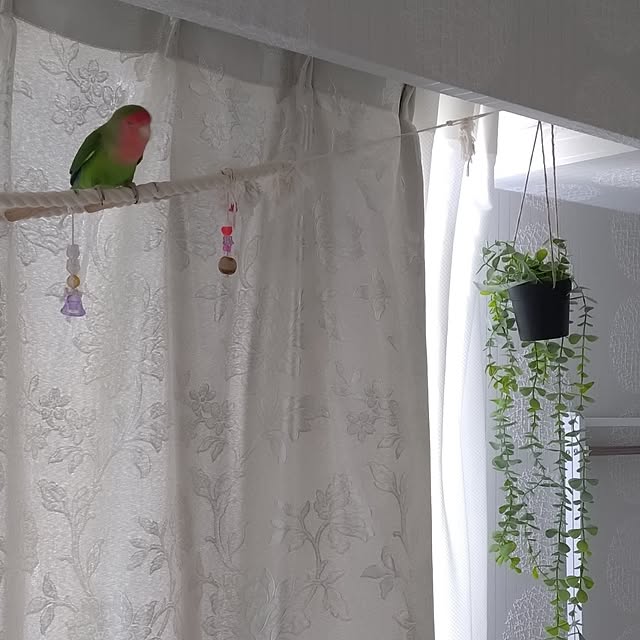 toratanさんの部屋