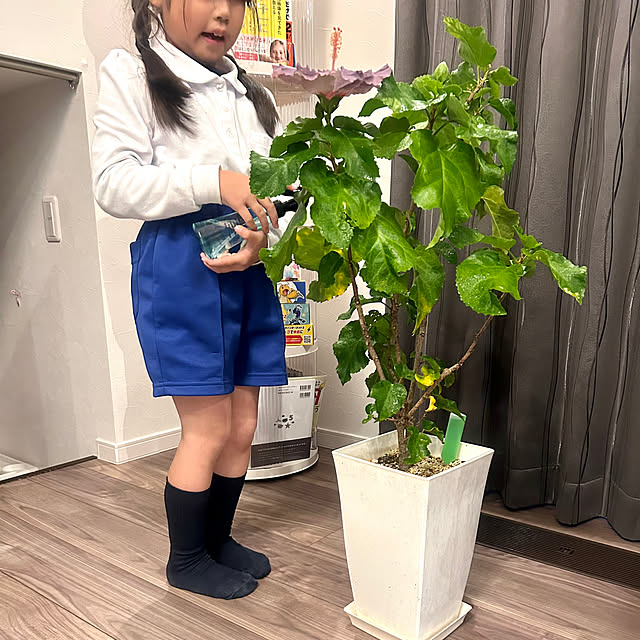 chiroさんの部屋