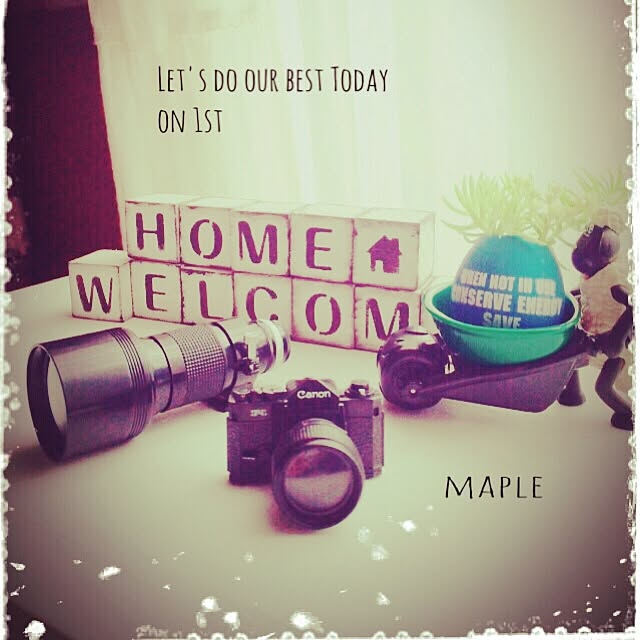 mapleさんの実例写真