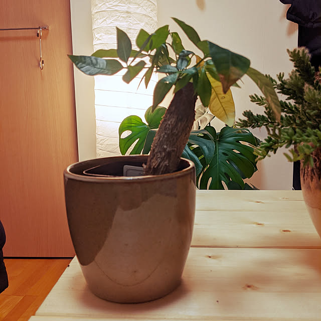 机/観葉植物/照明/ナチュラル/雑貨...などのインテリア実例 - 2020-02-23 08:24:28