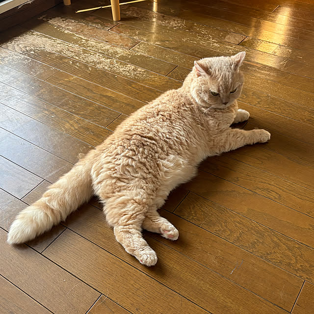 naokoさんの部屋
