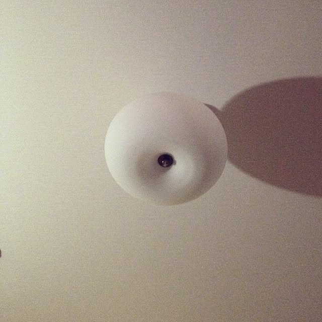 dicekbeetleさんの実例写真