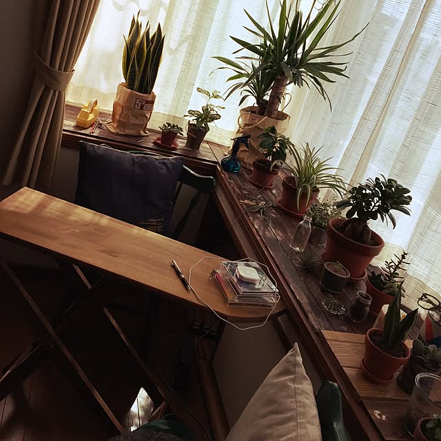 pkazuさんの実例写真