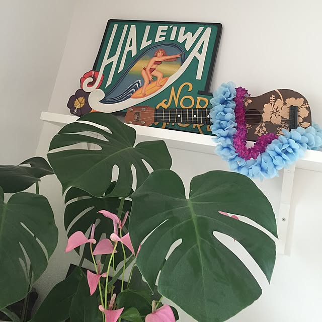 Kailaさんの実例写真