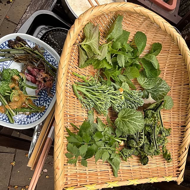 botanさんの部屋