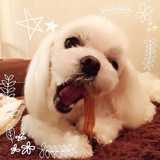 Sonokoさんの実例写真