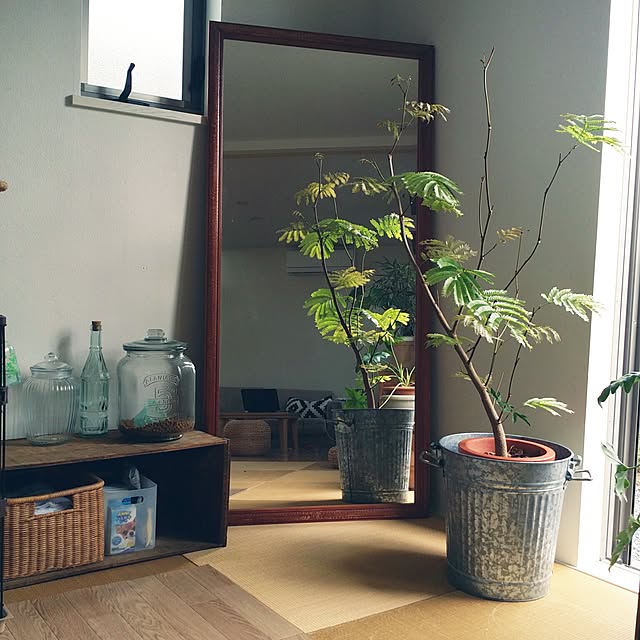 kuuuuさんの実例写真