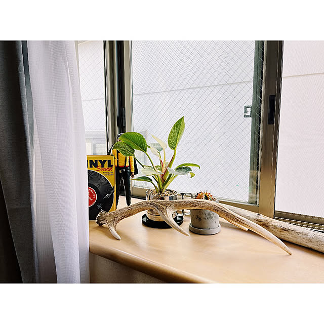 w_end_0625さんの実例写真
