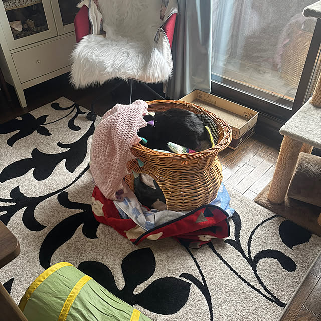 momocchiさんの部屋