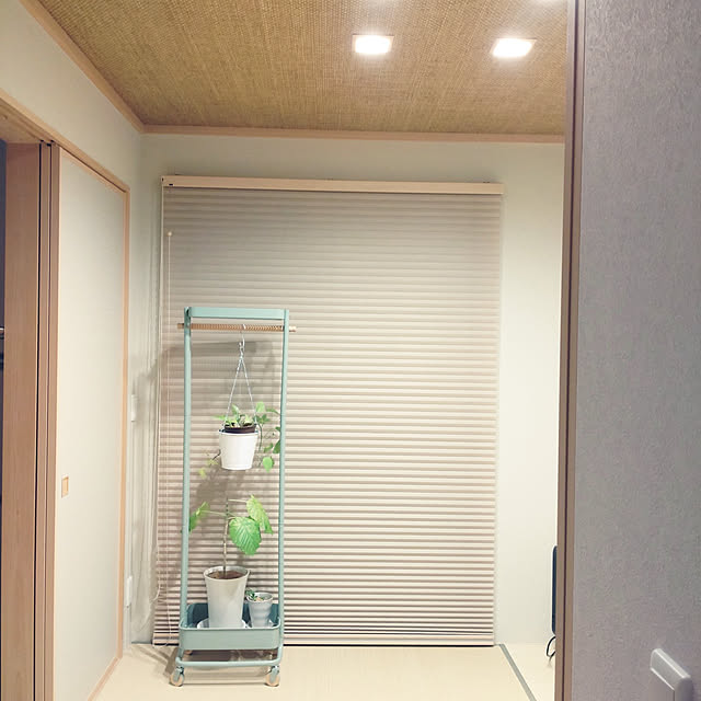 tan5さんの実例写真