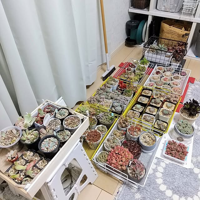 meiさんの実例写真