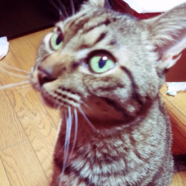 N3さんの実例写真