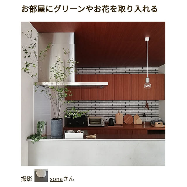 sonaさんの実例写真