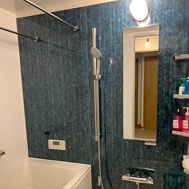 リノベーション/バス/トイレのインテリア実例 - 2019-07-03 09:40:46