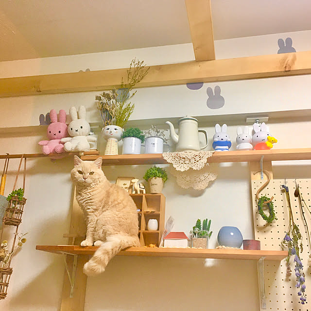 naokoさんの実例写真