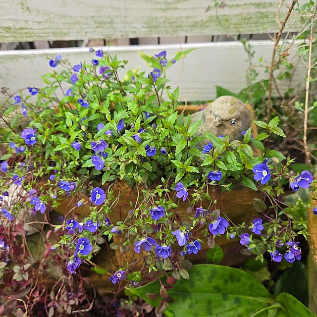 min_nimさんの部屋