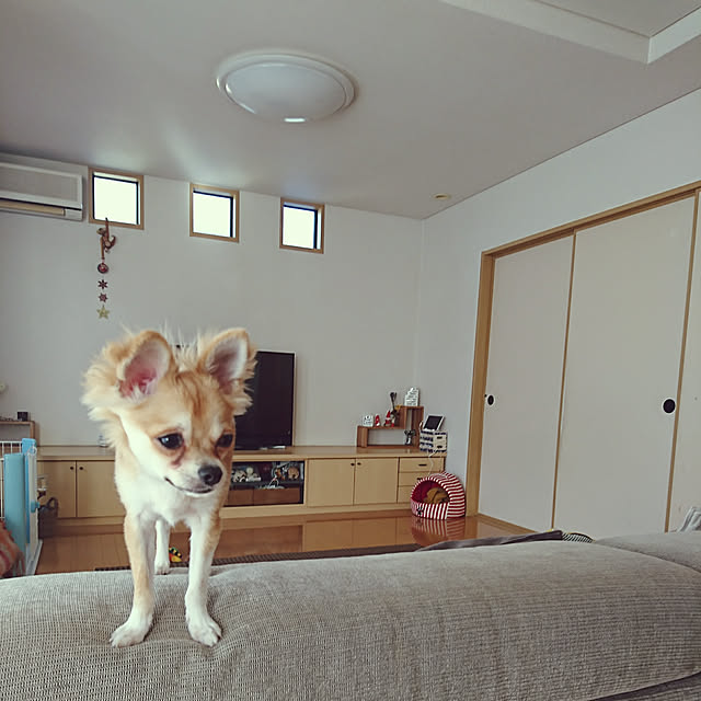 nattimomoさんの実例写真