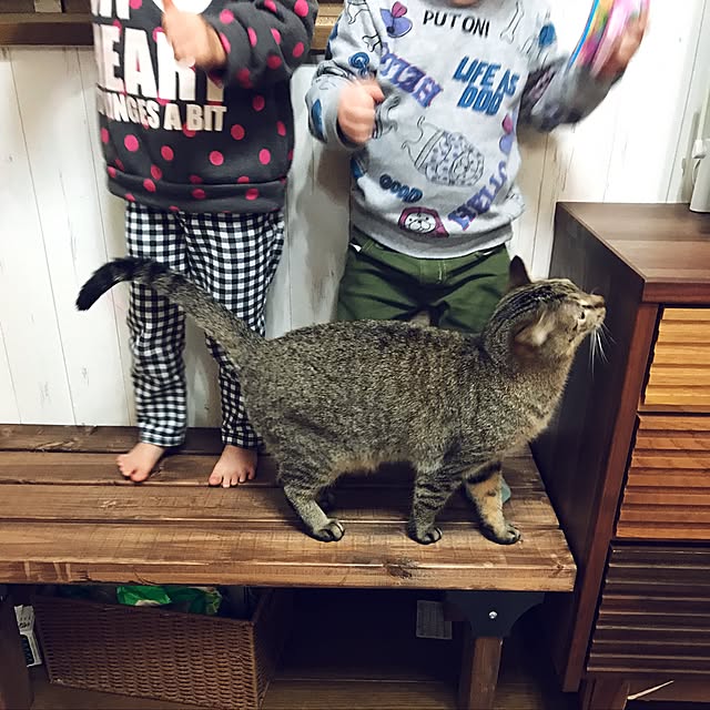 pepeさんの実例写真