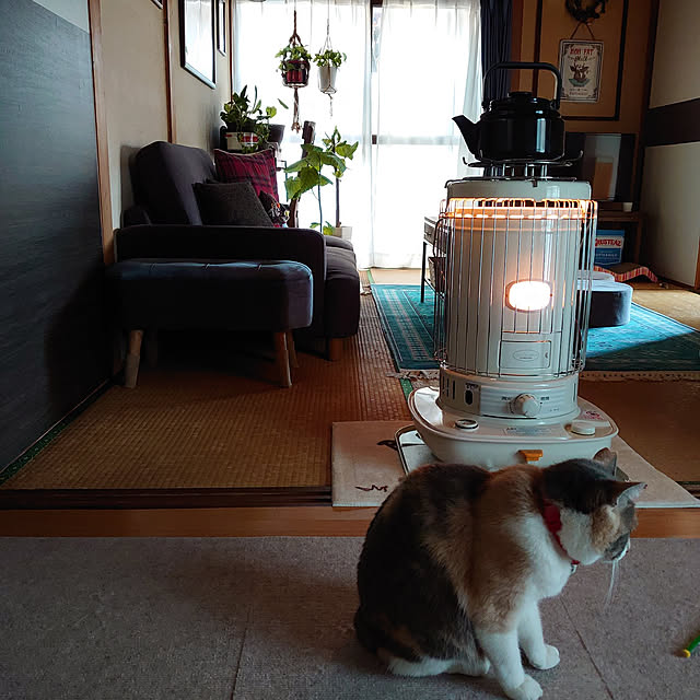 fukuさんの実例写真