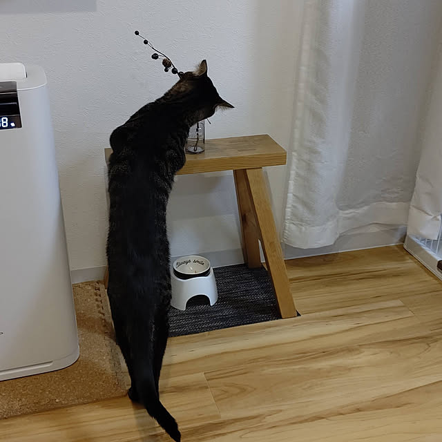 hihaさんの実例写真