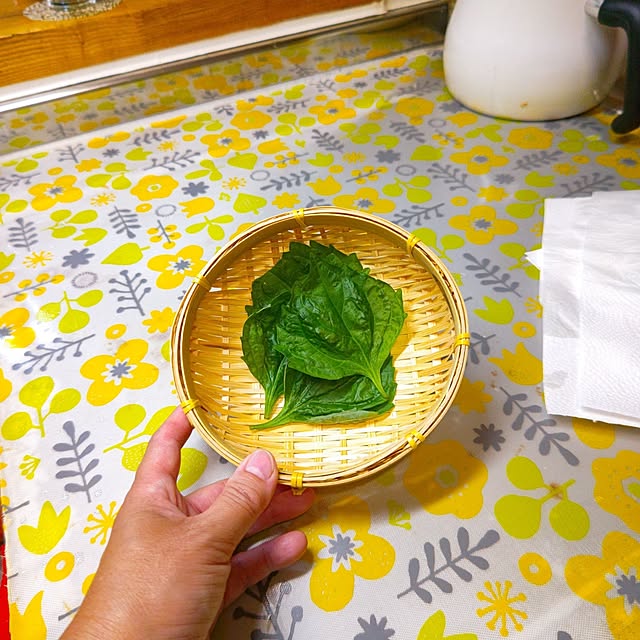 mariaさんの部屋