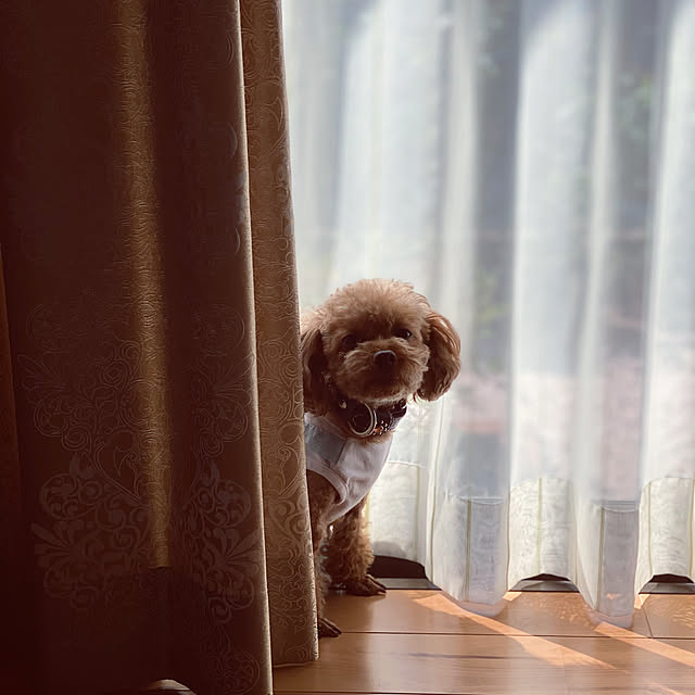 TIARAさんの実例写真