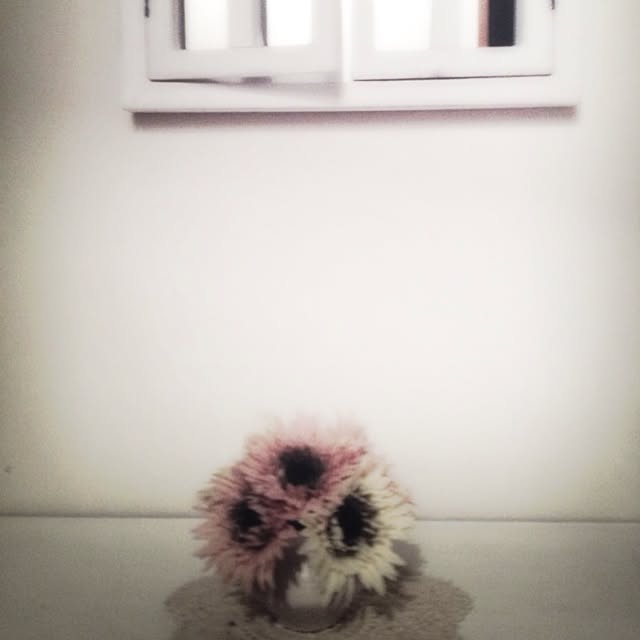 popiさんの実例写真