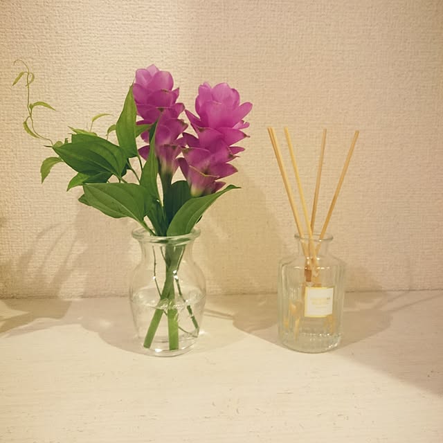 mushi-panさんの実例写真